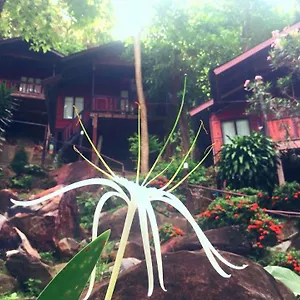 Hill Ko Phi Phi